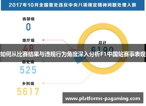 如何从比赛结果与违规行为角度深入分析F1中国站赛事表现