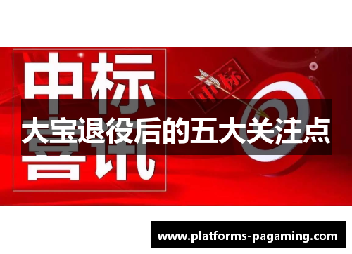 大宝退役后的五大关注点