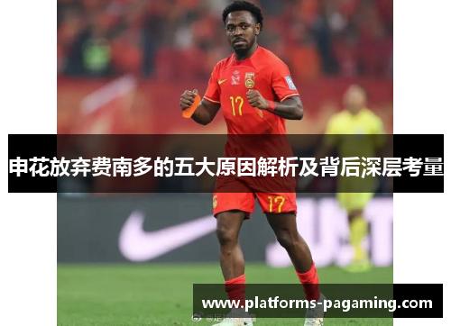 申花放弃费南多的五大原因解析及背后深层考量