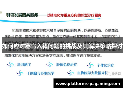 如何应对塞鸟入籍问题的挑战及其解决策略探讨