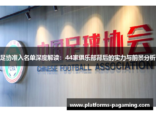 足协准入名单深度解读：44家俱乐部背后的实力与前景分析