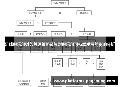 足球俱乐部财务管理策略及其对俱乐部可持续发展的影响分析