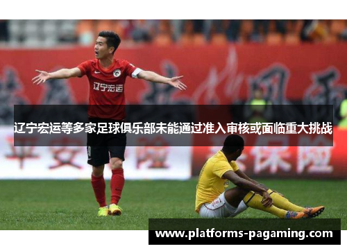 辽宁宏运等多家足球俱乐部未能通过准入审核或面临重大挑战