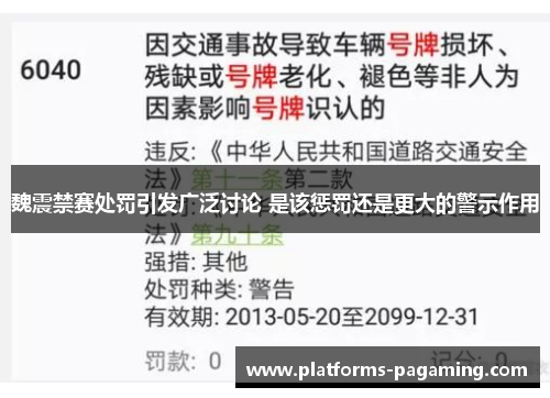 魏震禁赛处罚引发广泛讨论 是该惩罚还是更大的警示作用