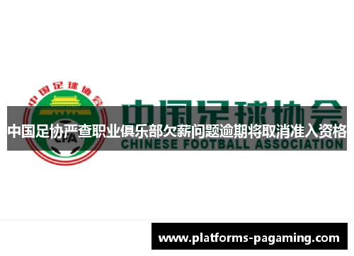 中国足协严查职业俱乐部欠薪问题逾期将取消准入资格 中国足协严查职业俱乐部欠薪问题逾期将取消准入资格