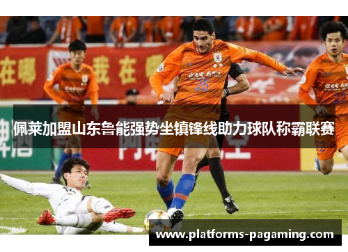 佩莱加盟山东鲁能强势坐镇锋线助力球队称霸联赛 佩莱加盟山东鲁能强势坐镇锋线助力球队称霸联赛