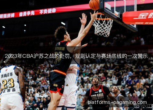 2023年CBA沪苏之战的处罚，规则认定与赛场底线的一次警示